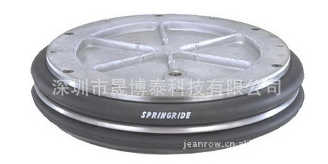 DUNLOP/SPRINGRIDE̥