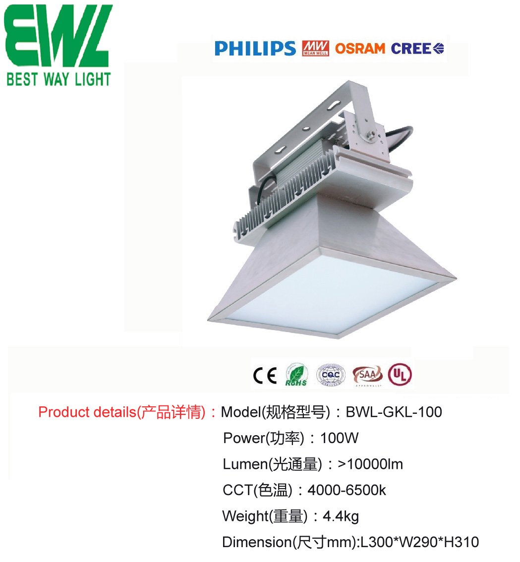 /BWL-GKL-100W  LED/߸˵100W