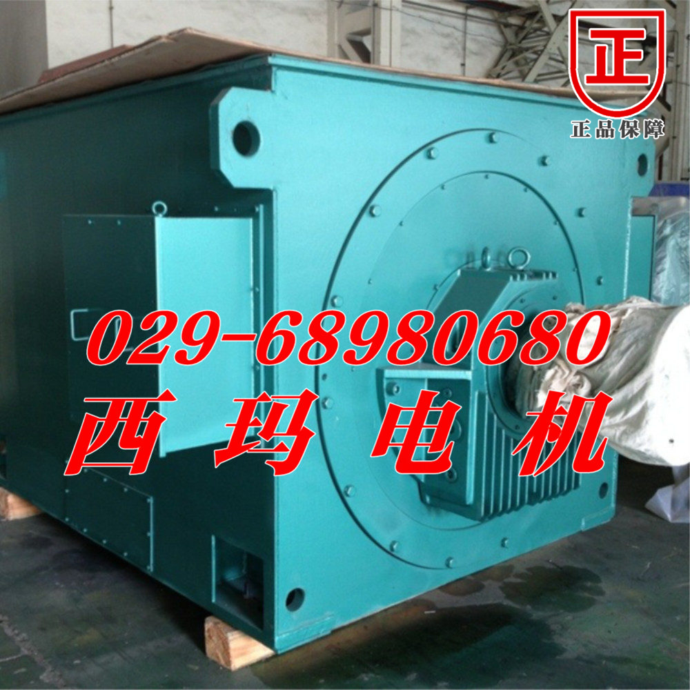 Y.YKS6302-6/1800KW/6KV/IP55/IMB3ѹɶ