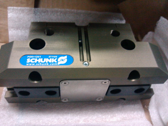 SCHUNK  еDPG-100 AS(0370263) ƻڴĺ