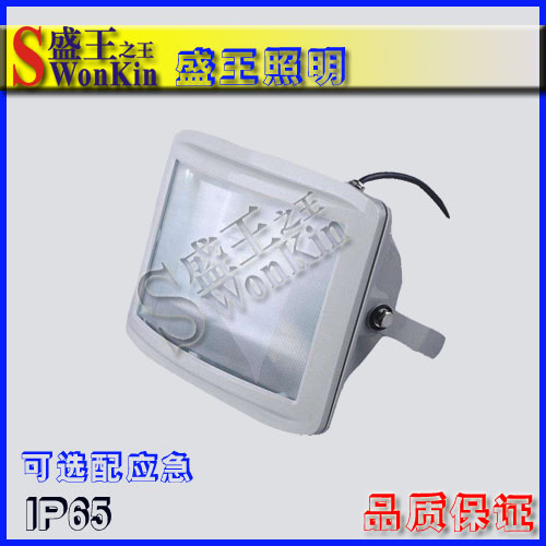 ˮ߶SFL11038 400W߶