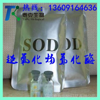 sod绯øpegsodø5000u/g ѯͷ