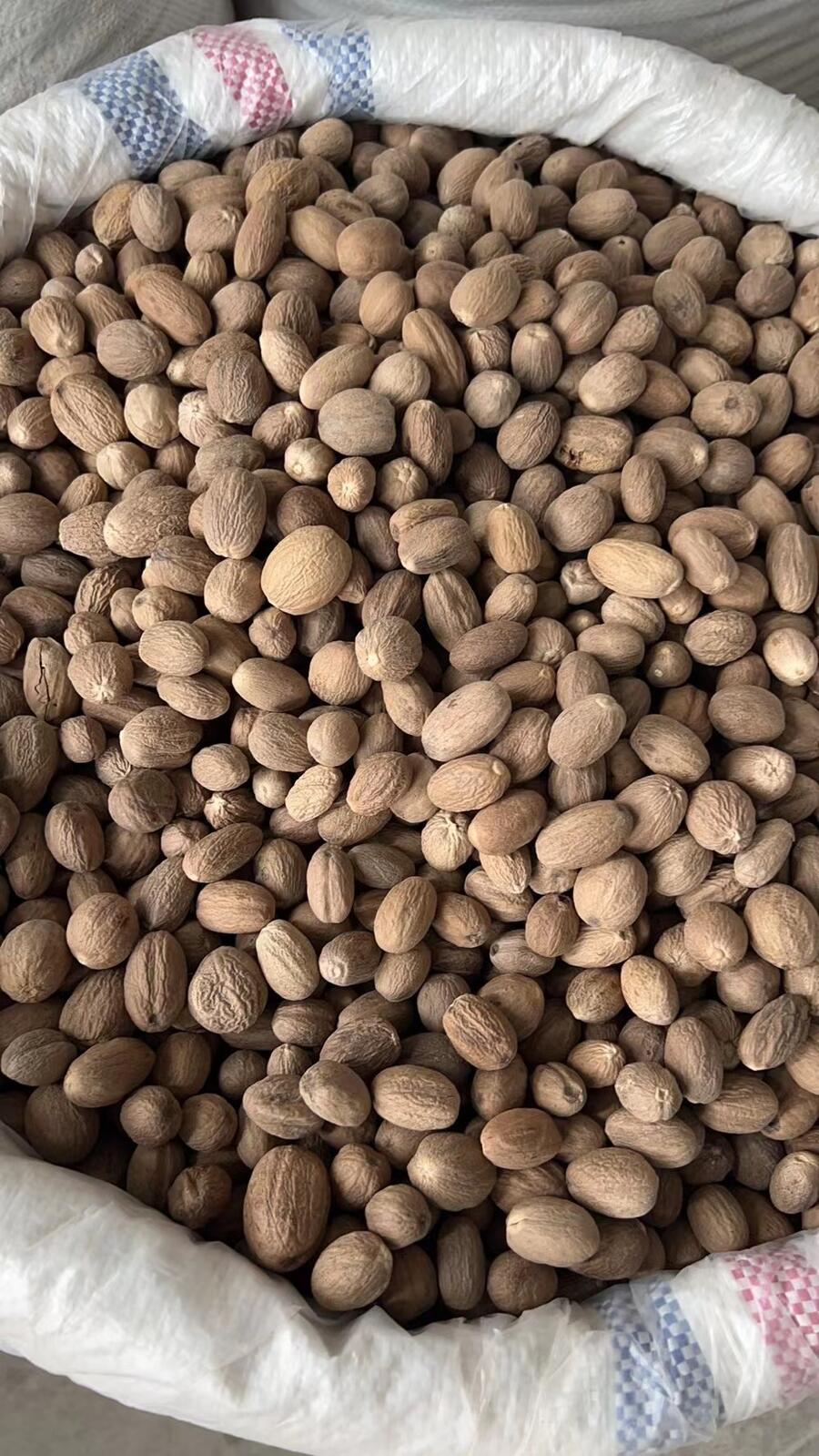 ӡȰ׿۽ڹ˾