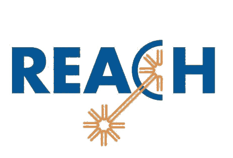 REACHĿЩʲô