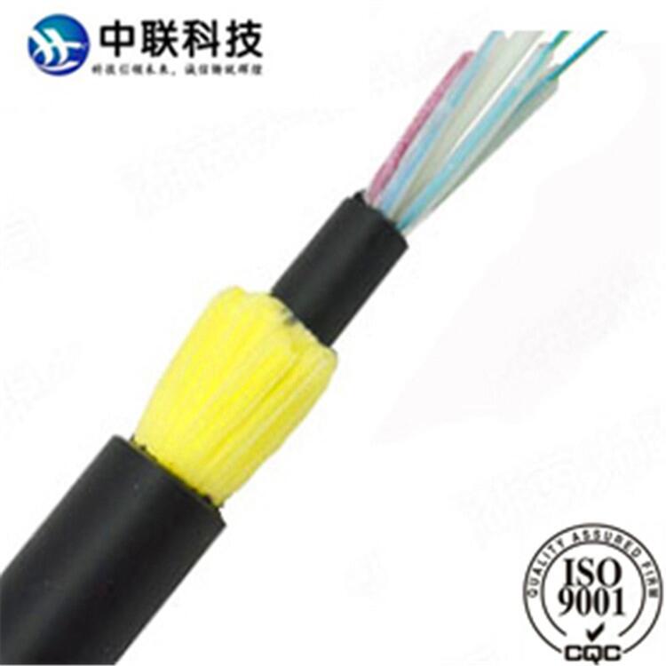 ADSS-24B1-200£׹½