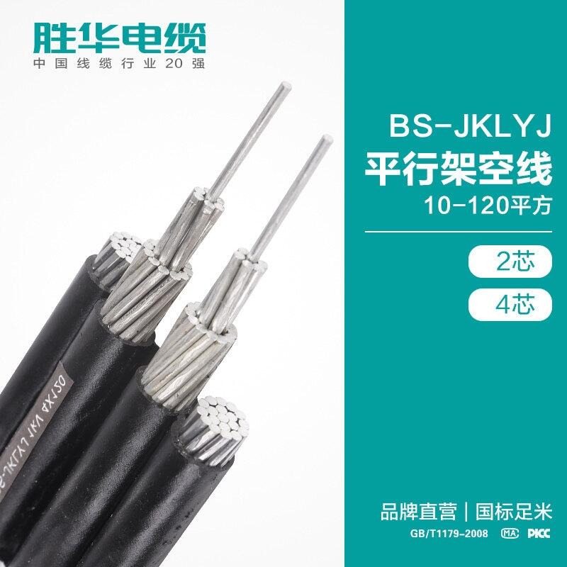 ³ BS-JKLYJƽмܿ 0.6/1KVܿյ