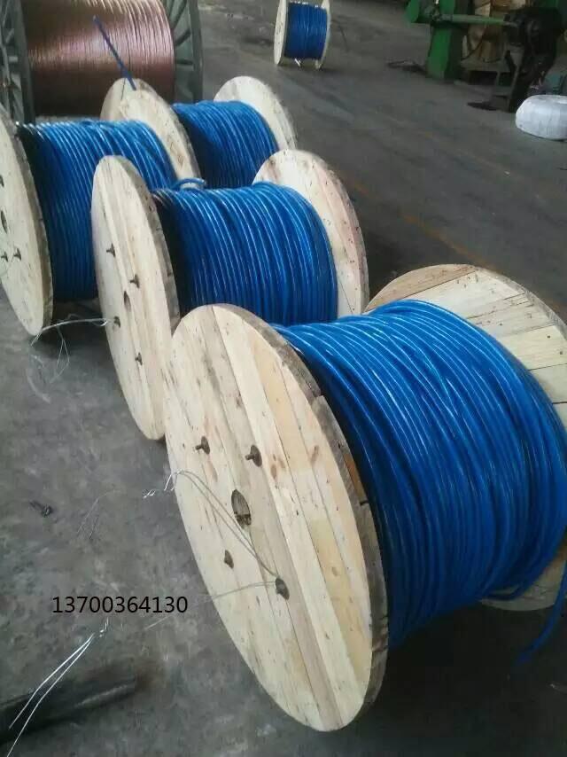 WD-MYJV4330*2*0.6һ2025Ѹ(/Ѷ