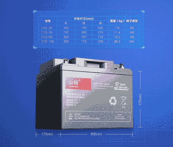 ɽC12-65ɹ