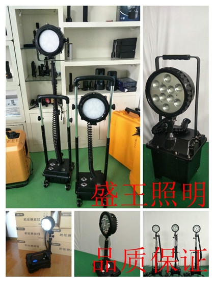 LEDPT8703-L80W/200W