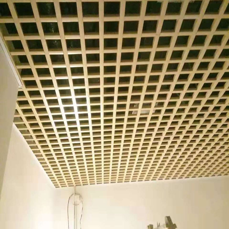ǽդ դ۸ 