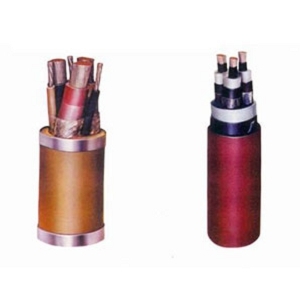 ӦZR-KGGP 3*16𽺵ִ