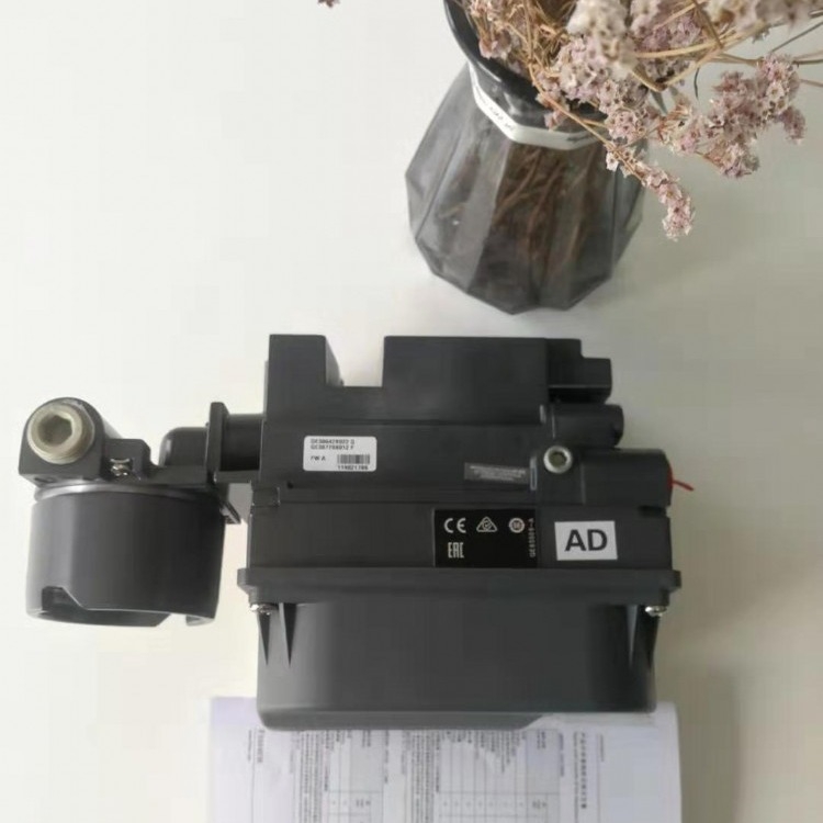 :ϣFisherŶλ   DVC6020FSCAD