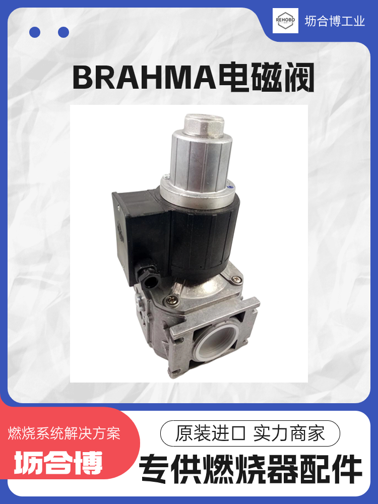 BRAHMA๦ʽȼŷGVC40*S*L޺ϲҵװ