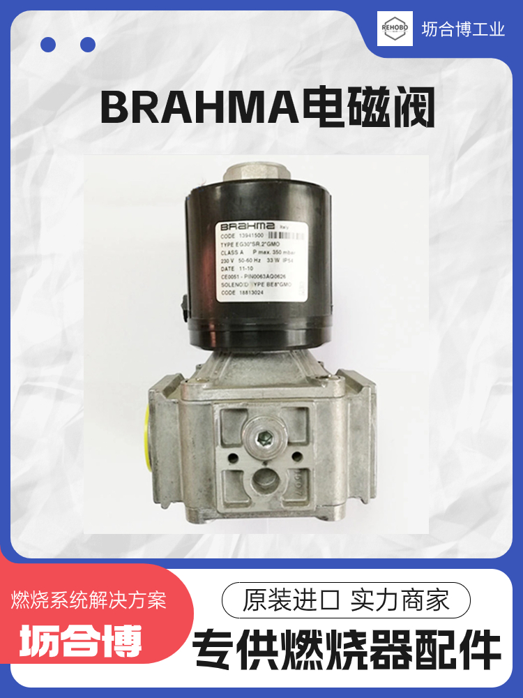 brahmaŷ쿪Ͳȼ13902001EG12*S*GMO